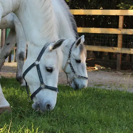 منزل ريفي Country House Lokev *