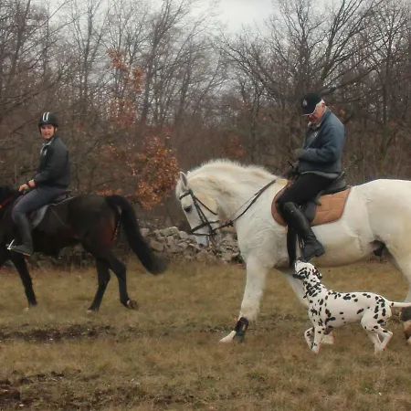 Country House Lokev *