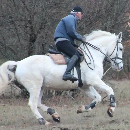 Country House Lokev * Lokev