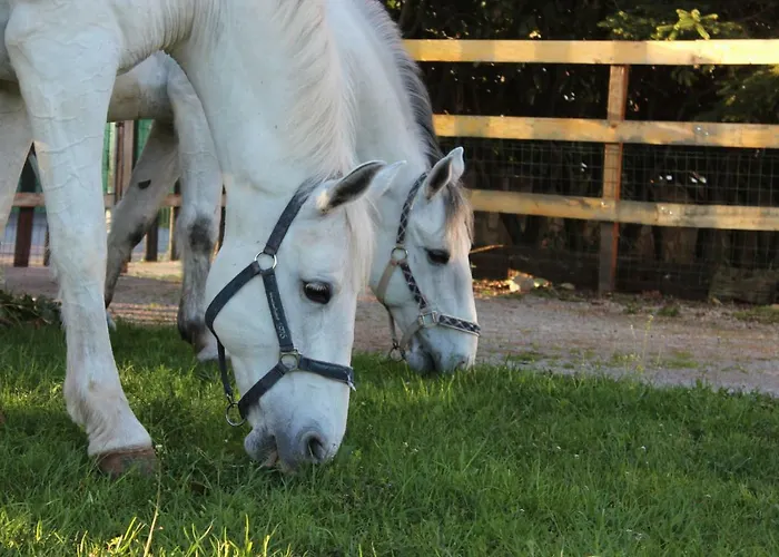 Летний дом Country House Lokev *