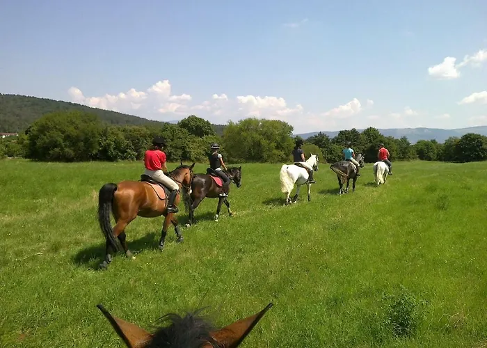 Country House Lokev *