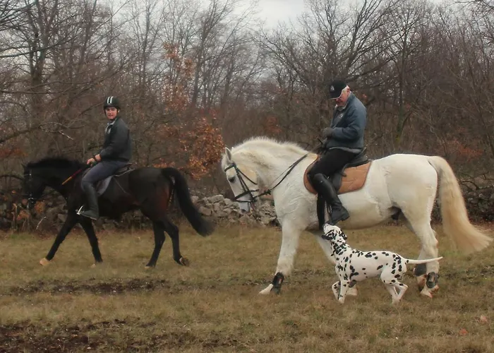 Country House Lokev *