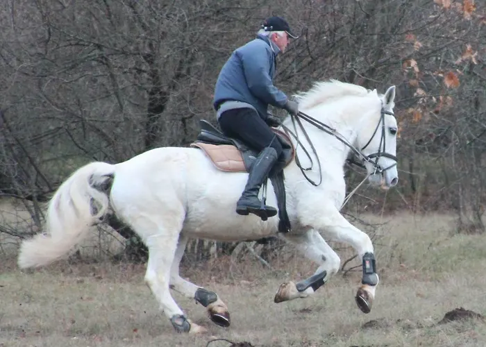 Country House Lokev * Lokev