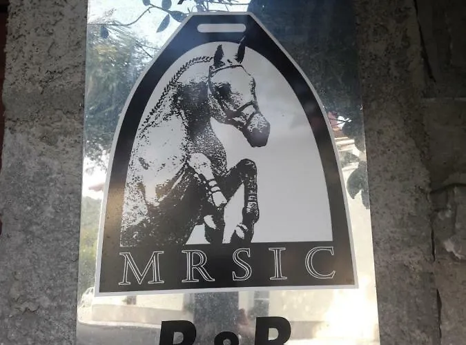 Country House Lokev Летний дом